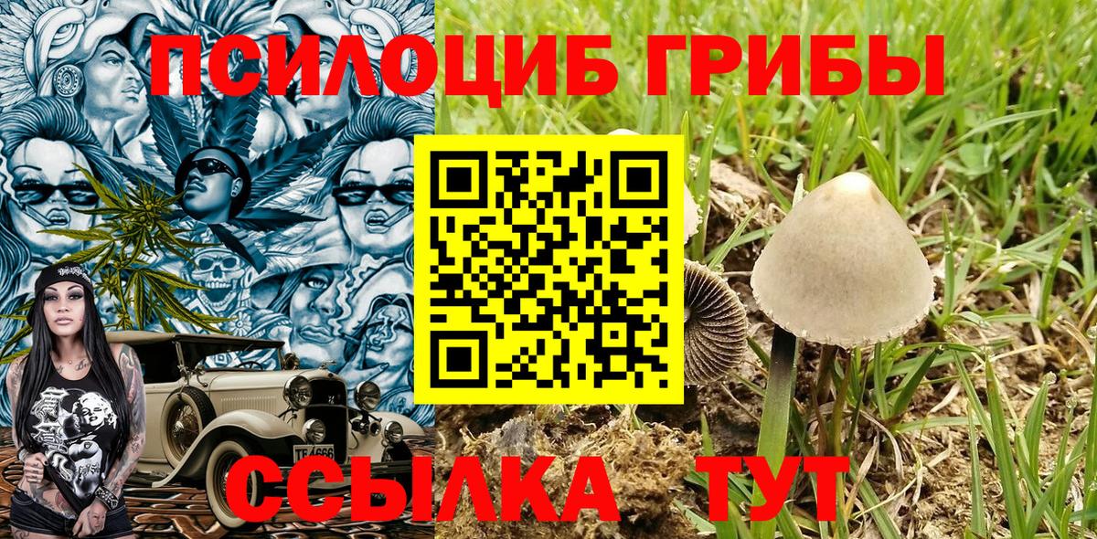 Галлюциногенные грибы Psilocybine cubensis  Псилоцибиновые грибы Psilocybe  как найти закладки  Вход с VPN  Нововоронеж 