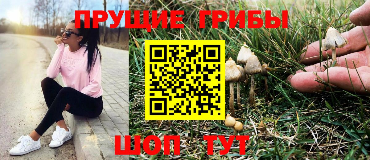 Псилоцибиновые грибы MAGIC MUSHROOMS Нововоронеж